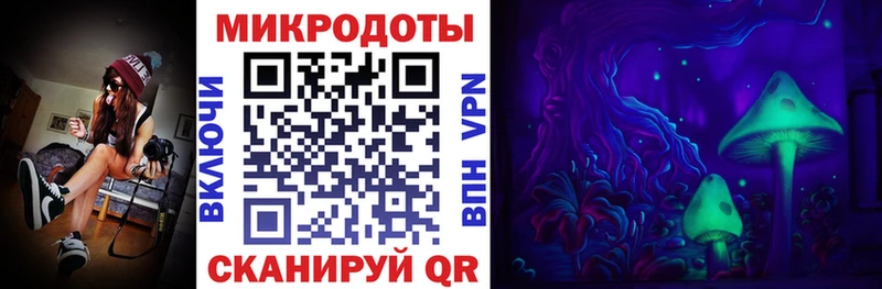 Галлюциногенные грибы Cubensis  Нефтегорск 